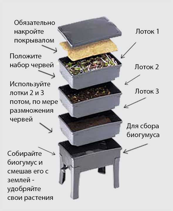 Гумус: что это такое и как повысить его содержание в почве. как сделать и использовать биогумус