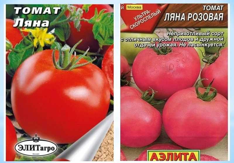 Томат ляна: характеристика и описание сорта, фото, отзывы