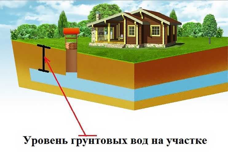 Мнение экспертов: как посадить яблоню, если близко грунтовые воды?