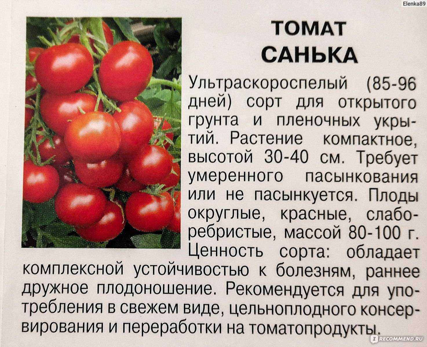 Описание томата Санька золотой отзывы фото урожайность характеристика сорта достоинства и недостатки советы по выращиванию