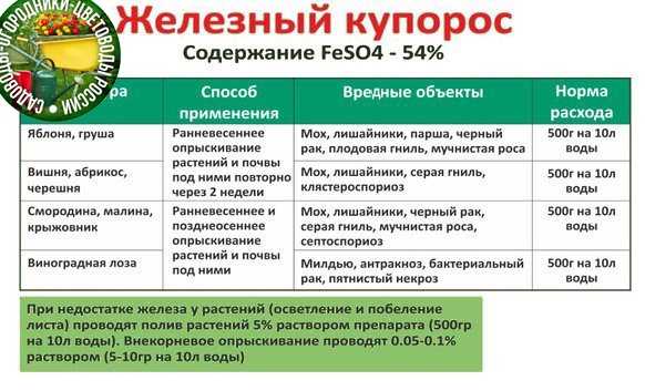 Что лучше: железный или медный купорос для обработки древесины осенью, в чем разница