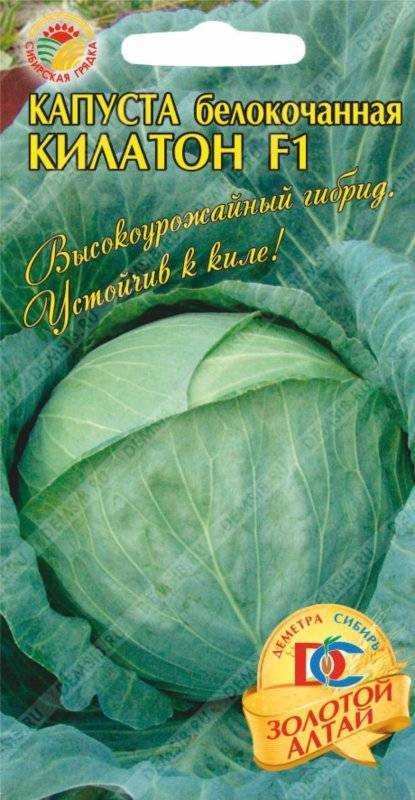 Капуста килатон: описание сорта, фото, отзывы, характеристика, достоинства и недостатки, особенности выращивания, урожайность