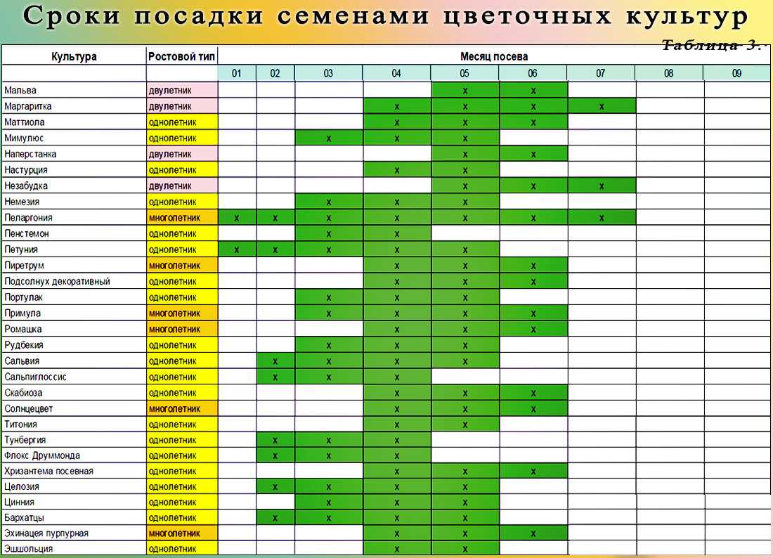 Что сажать на рассаду в апреле: список цветов с фото, названиями