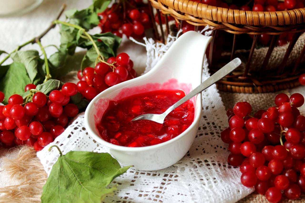 Варенье из калины: топ-5 рецептов, как приготовить