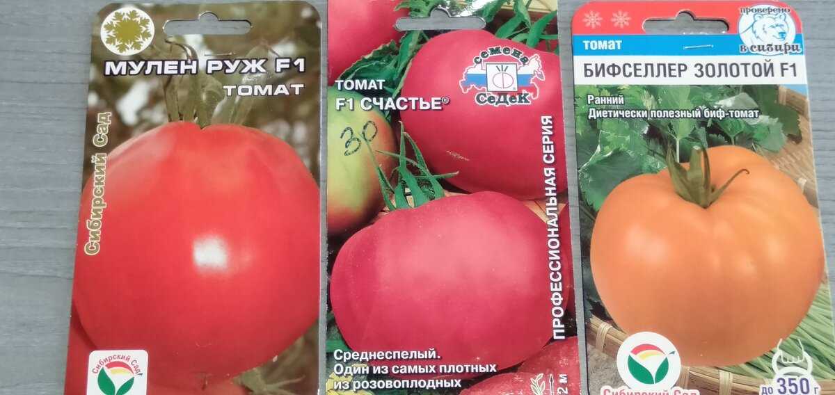 11 вкуснейших голландских гибридов: высокорослые и низкорослые томаты