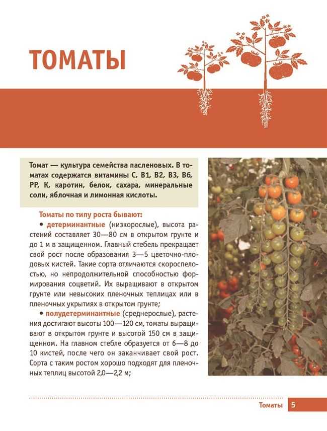 Томат черрипальчики описание сорта