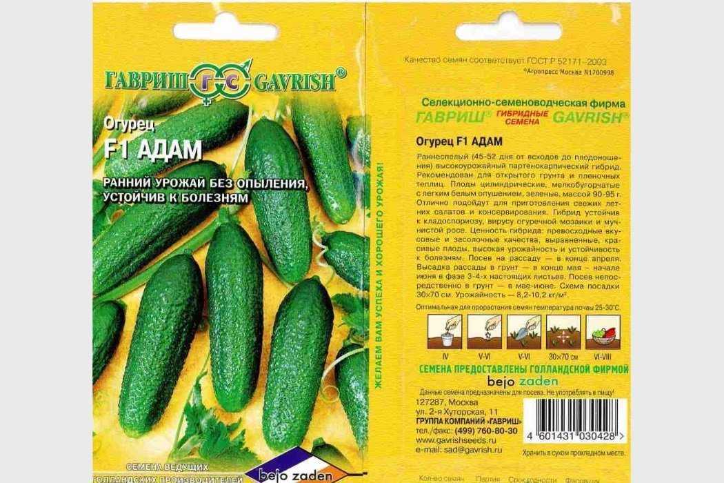 Лучшие сорта огурцов на 2024 год: самые вкусные и урожайные
