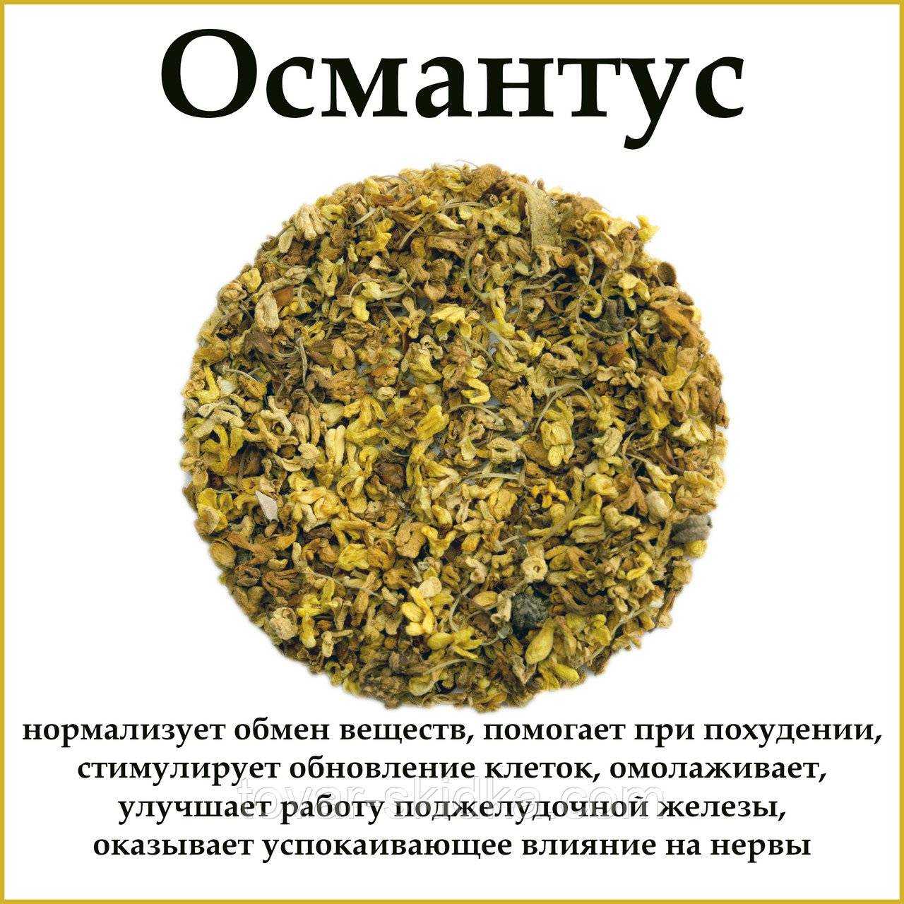 ✅ османтус душистый на языке цветов - питомник46.рф