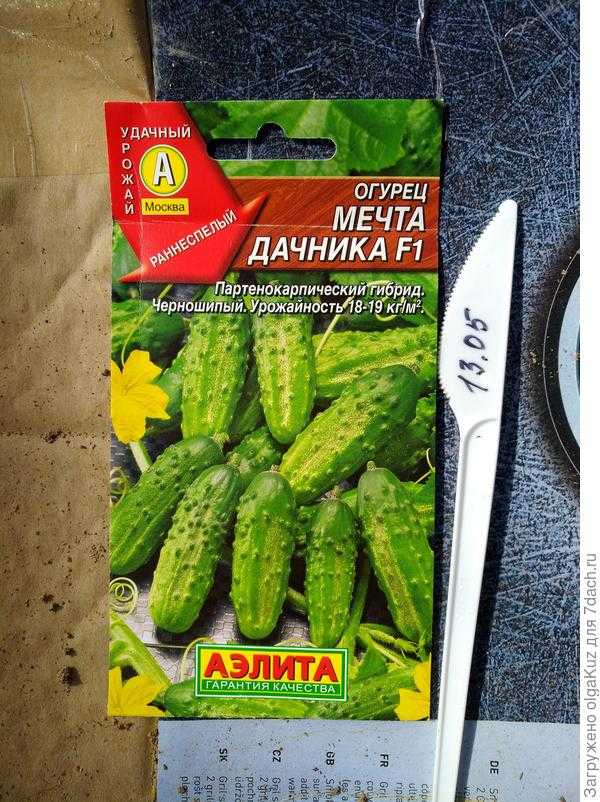 Описание сорта огурца магнат, выращивание и уход