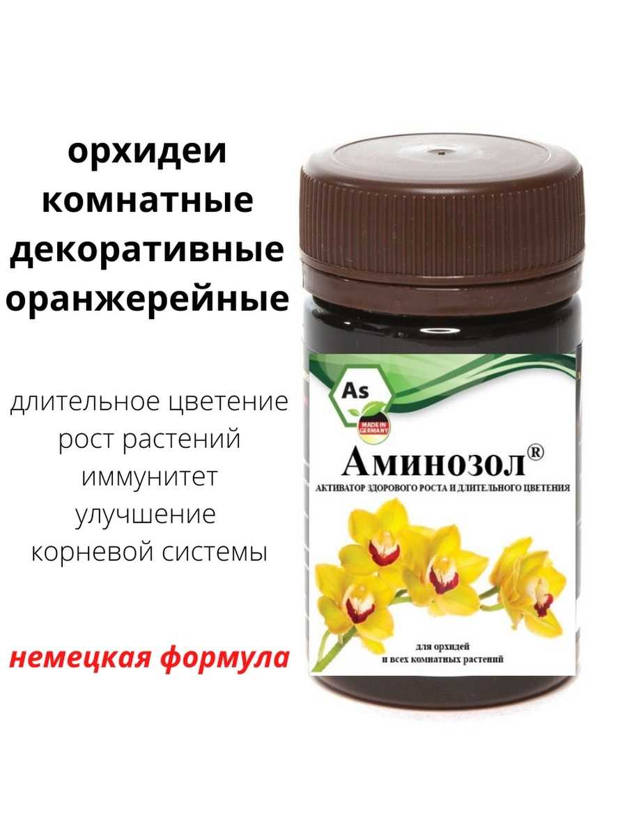 Как цветут орхидеи в домашних условиях, что влияет на процесс, что делать, чтобы растения зацвели, можно ли стимулировать, какие применять препараты?