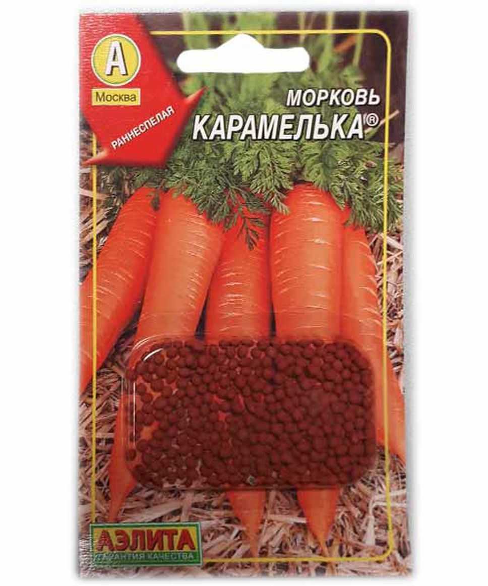 Самый крупный сорт моркови - домсадовника