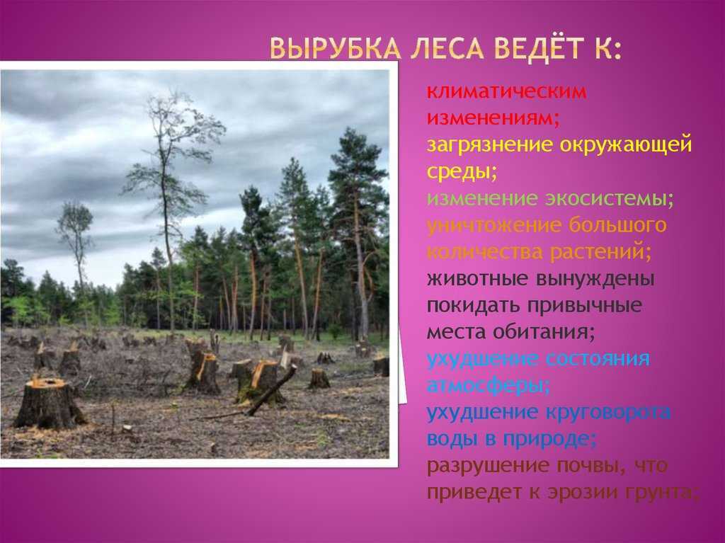 Листовая земля