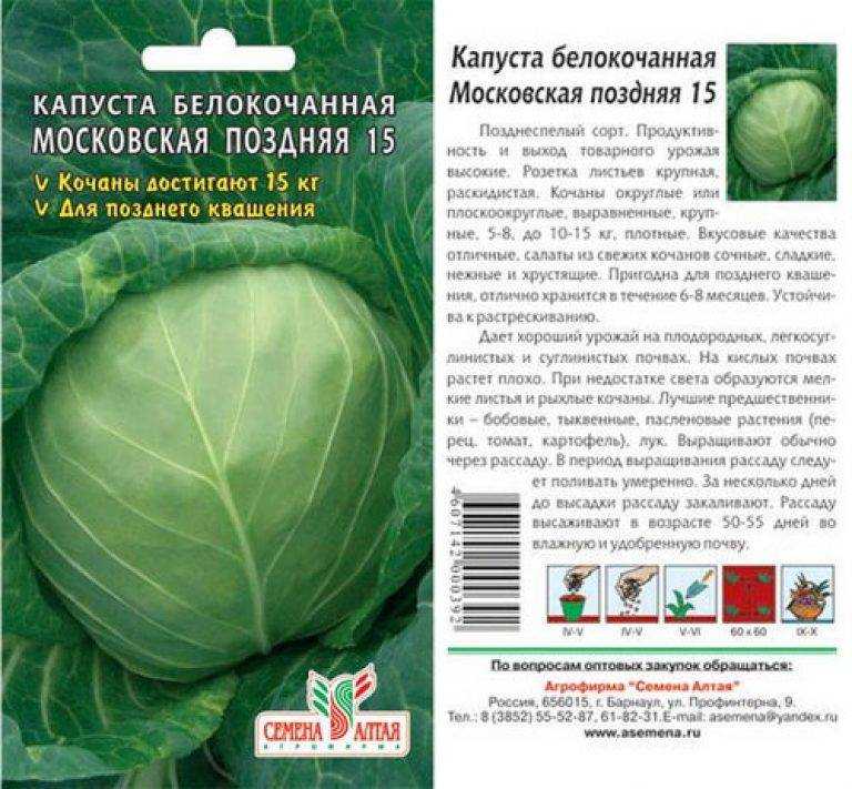 Капуста московская поздняя - опсане сорта с фото и видео