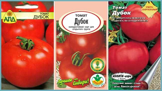 Томат дубрава (дубок) – характеристика и описание сорта, фото, отзывы, достоинства, недостатки, видео