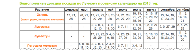 Как вырастить лук из семян за один сезон? лучшие советы!