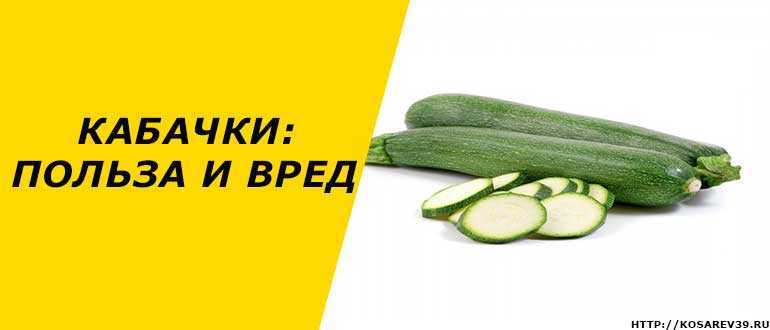 Оладьи из кабачков — простые и самые вкусные рецепты быстрого приготовления