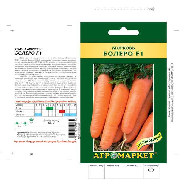 Лучшие сорта моркови на 2021 год: самые урожайные, вкусные, сочные, сладкие - моя дача