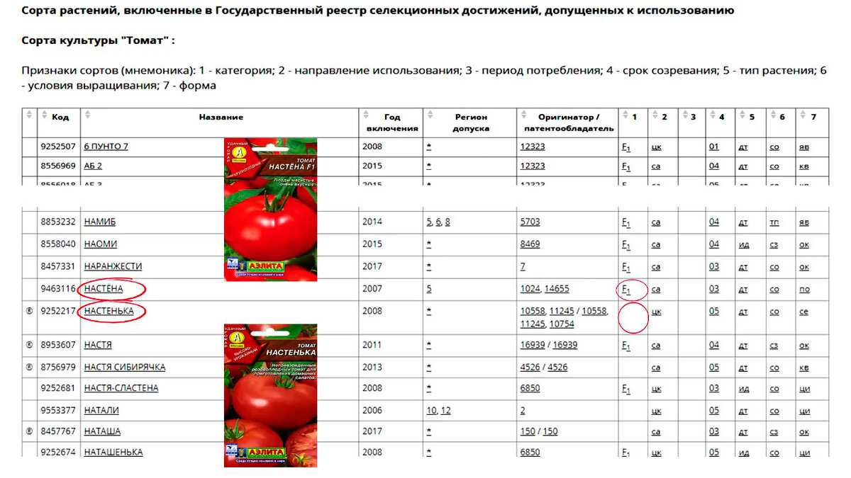 Как правильно и быстро прорастить семена томатов перед посевом на рассаду: способы