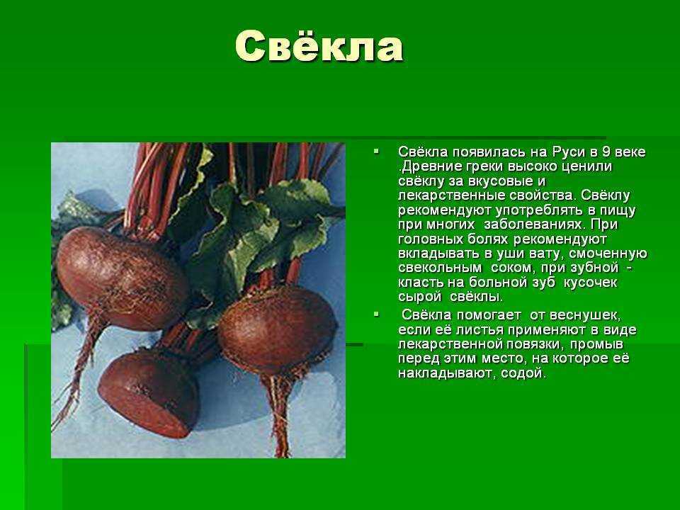 Свёкла