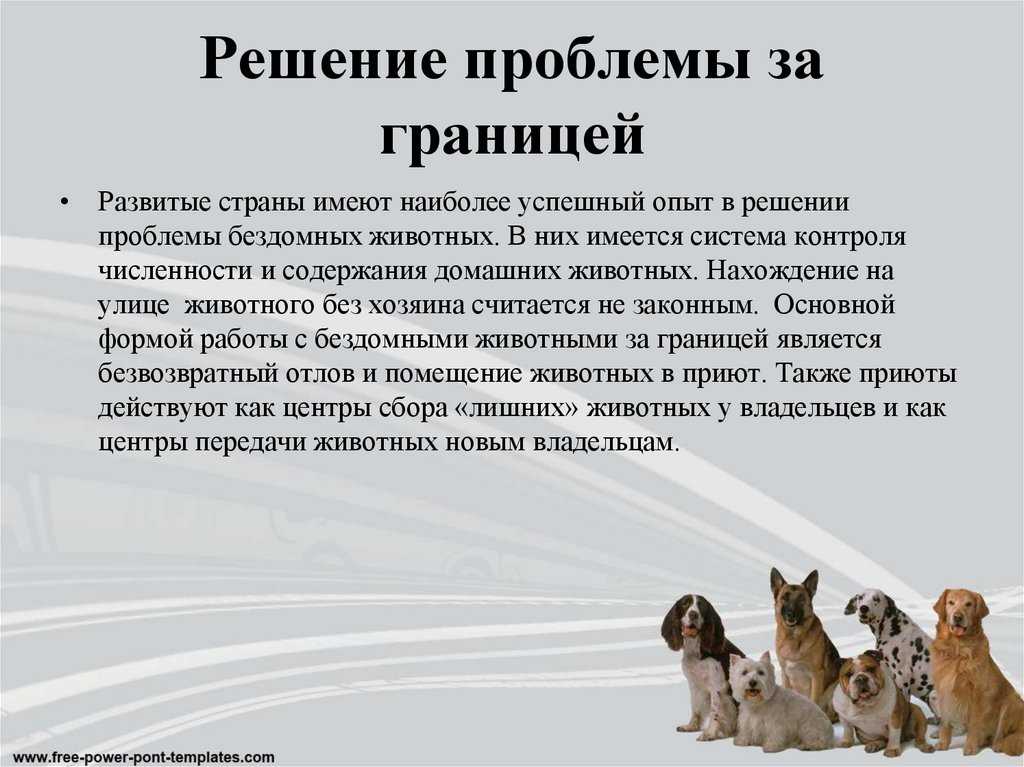 Щенячий восторг. статья четвертая: что можно, а что нельзя в обращении с домашними животными в великобритании | коммерсантъ uk