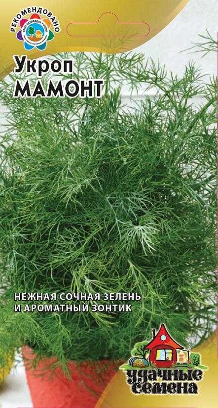 Подробные характеристики лучших сортов укропа на зелень для высадки в открытый грунт а также советы по выбору сорта для Подмосковья Сибири и Урала описаны у этой статье