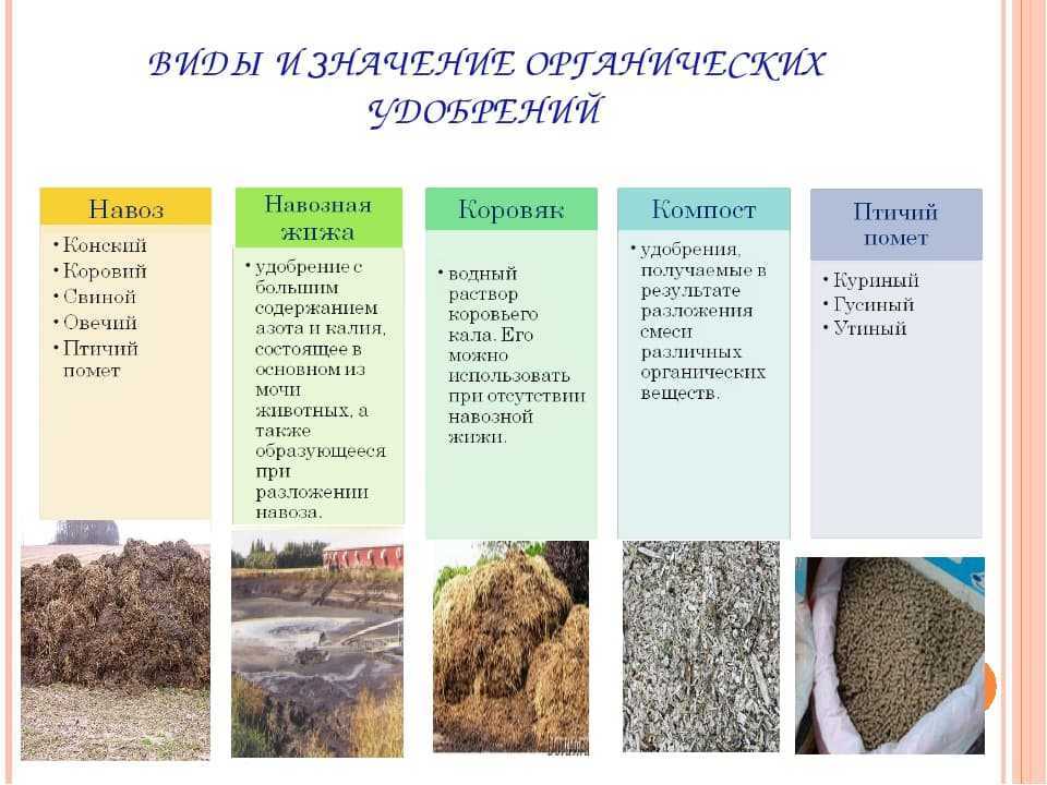 Минеральные удобрения: вред и польза неорганических веществ для человека