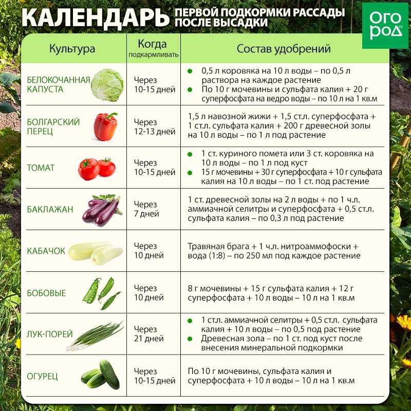 Какие цветы посадить в апреле на рассаду?