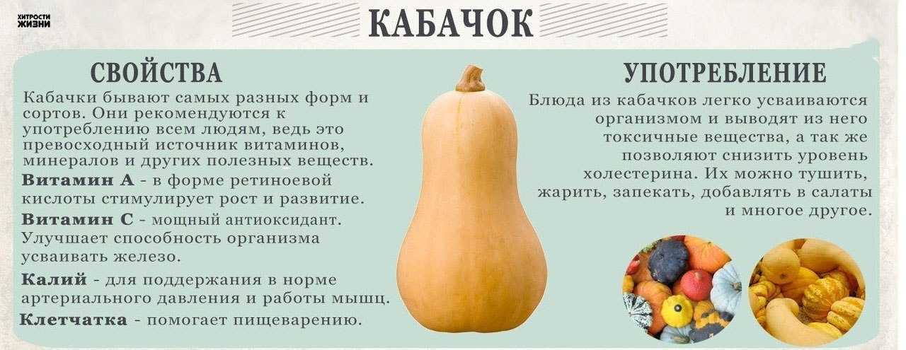 Оладьи из кабачков – 9 самых вкусных рецептов