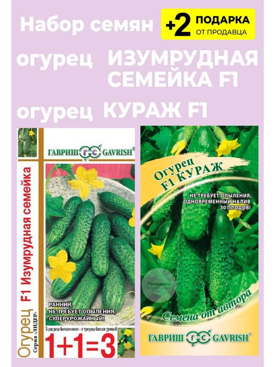 Огурцы изумрудная семейка: описание и характеристика сорта, выращивание и уход с фото