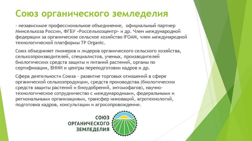 Органическое земледелие с чего начать огород без хлопот