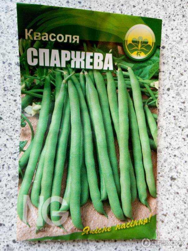 Лучшие сорта спаржевой стручковой фасоли для различных регионов россии
