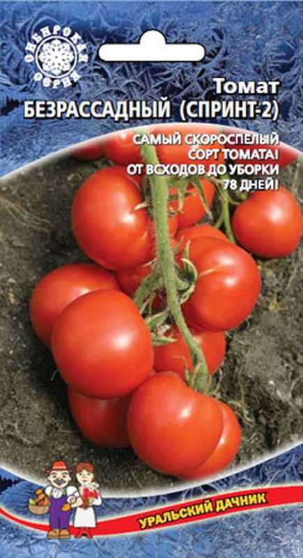 Томат безрассадный: описание и характеристики сортов, способ выращивания