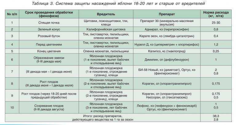 Как и чем обработать сад осенью 2021 года от вредителей и болезней