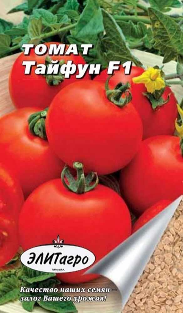 Томат "таня": описание, отзывы, фото