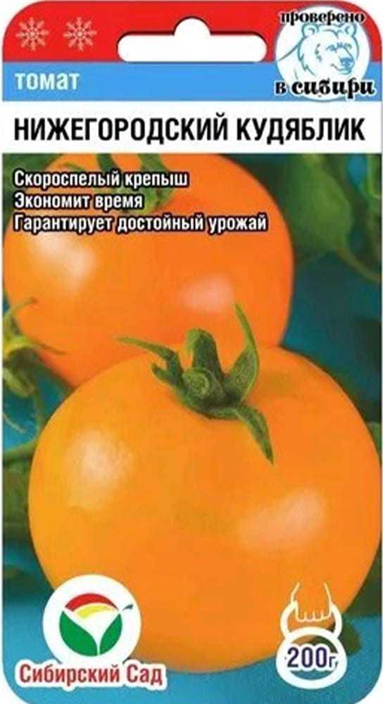 Томат нижегородский кудяблик: описание сорта, выращивание и уход