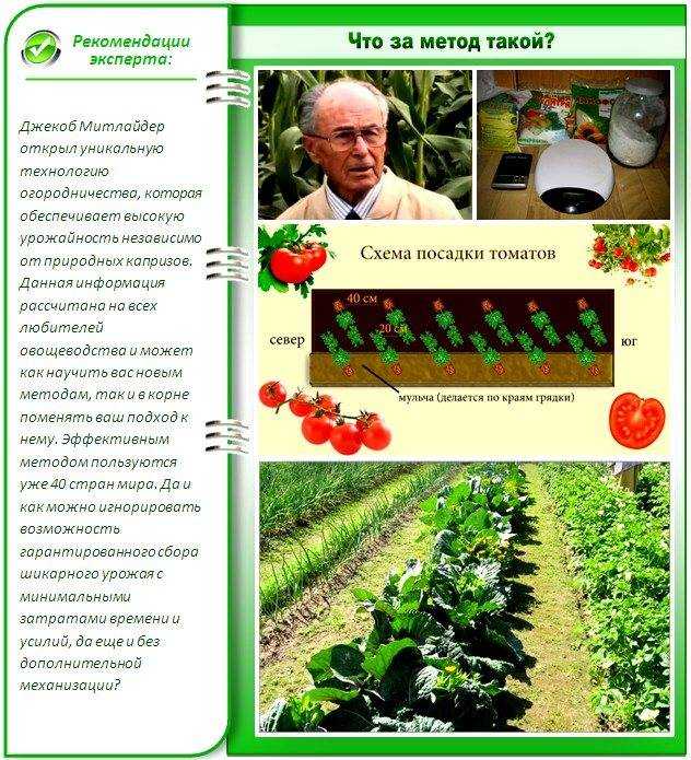 Узкие грядки и широкие проходы: достоинства и недостатки
