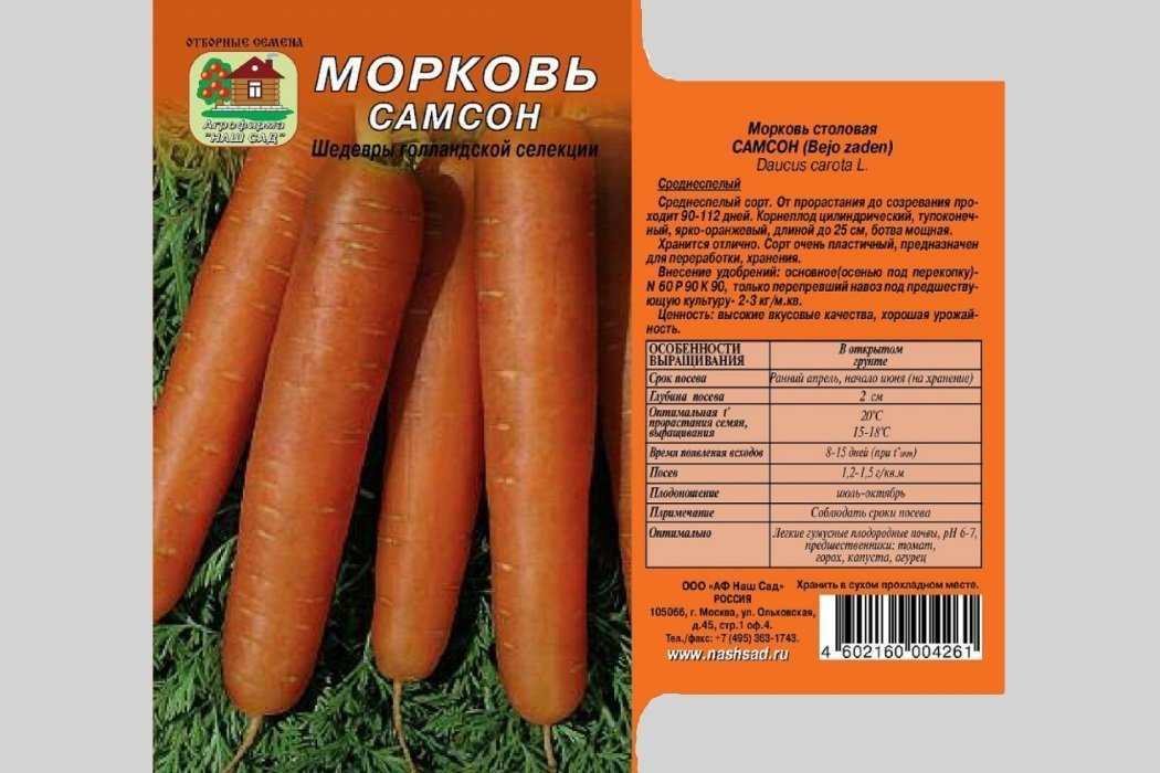 Морковь шантане королевская отзывы - ogorodexp.ru