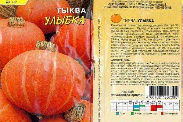 Крупноплодные сорта тыквы россиянка, конфетка, крошка, стофунтовая: описание с фото
