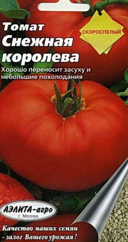 Любимец огородников из холодных регионов страны — томат снежная сказка: описание сорта и его характеристики
