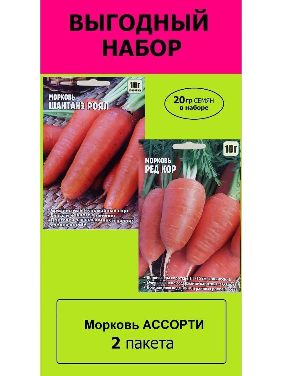 Морковь ред кор: описание, выращивание, отзывы
