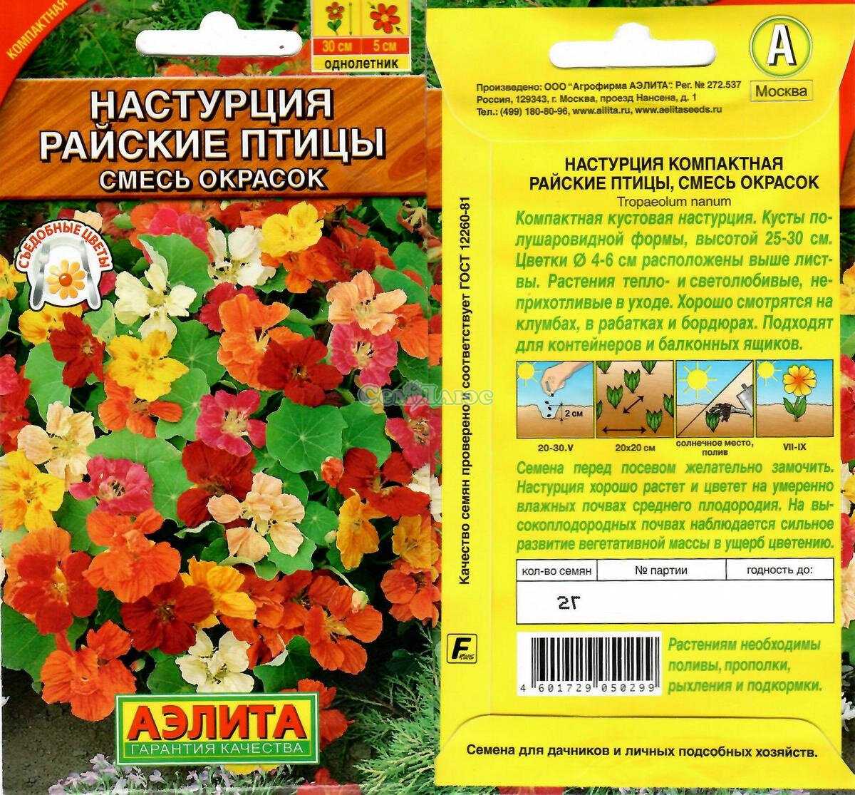Что такое настурция особенности ее посадки и ухода фото когда сеять семена на рассаду и в грунт а также как бороться с болезнями и вредителями