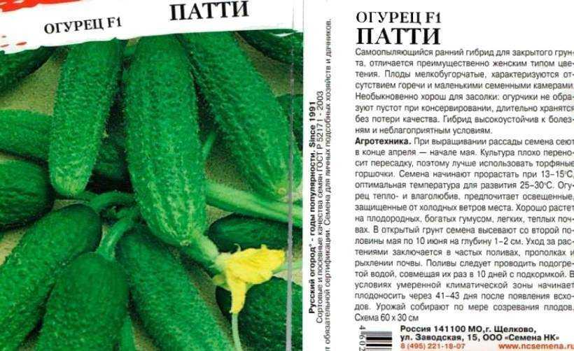 Огурец ранний – муравей f1. внешний вид зеленцов, правила выращивания, положительные и отрицательные свойства