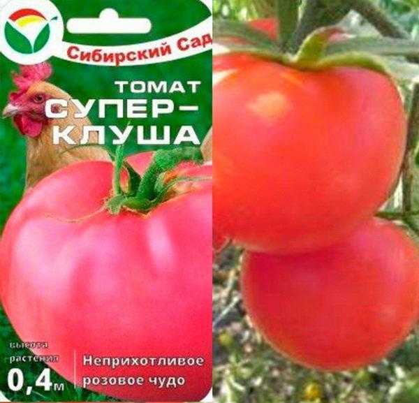 Томат клуша: фото, описание, выращивание