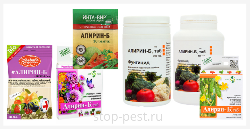 Алирин-б инструкция по применению, отзывы + видео когда и как обрабатывать