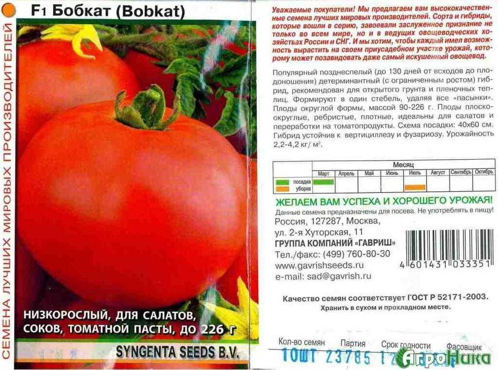 Томат "бобкат" - урожайный сорт с устойчивостью к заболеваням