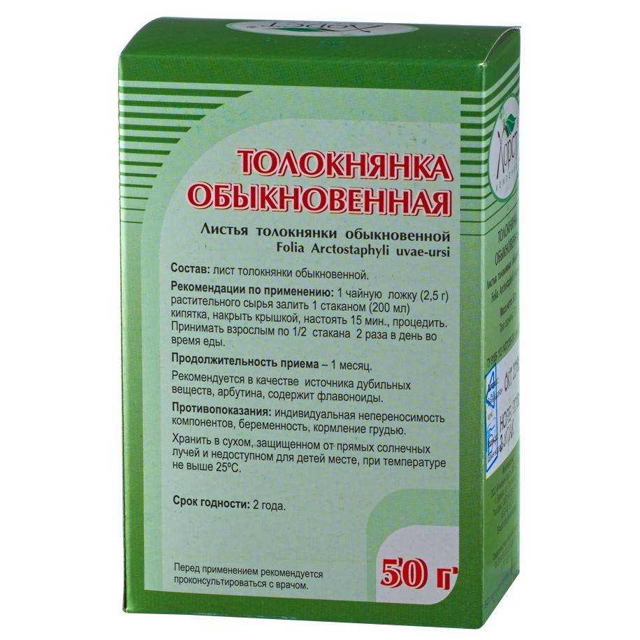 Толокнянка — лечебные свойства и противопоказания
