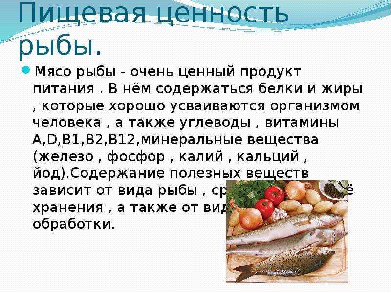 Горбуша: описание рыбы, места обитания, образ жизни, способы ловли, гастрономическая ценность и калорийность