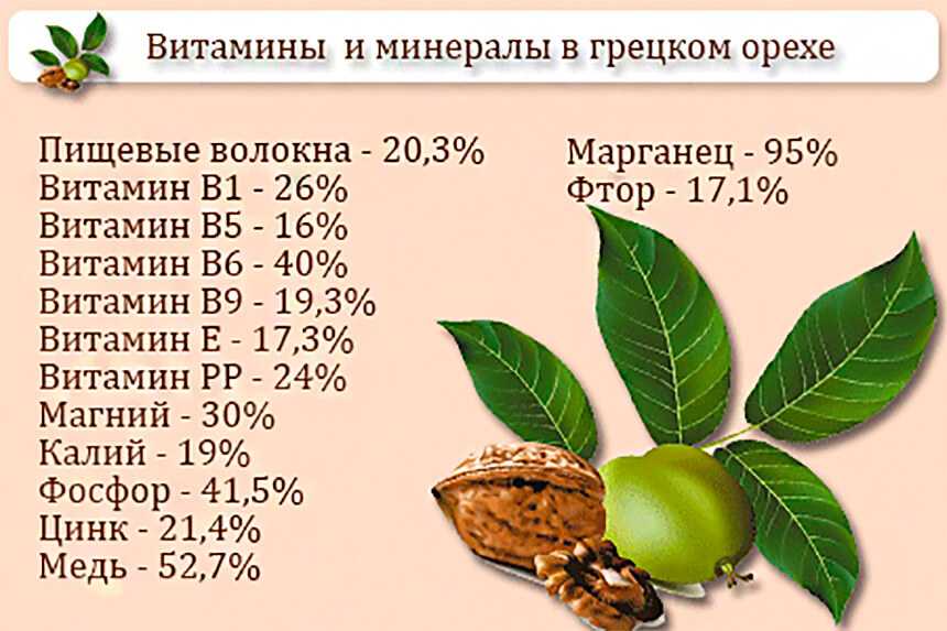 Роициссус: уход и выращивание дома | pot flowers