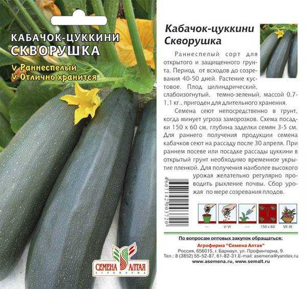 Сорта кабачков для открытого грунта с фото и описанием: золотинка, скворушка, негритенок и другие, отзывы фермеров