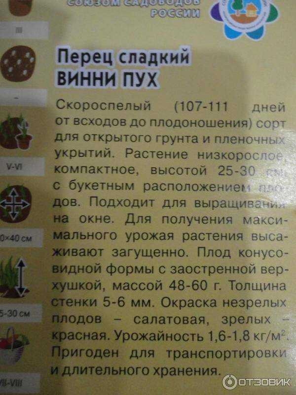 Сладкий перец «винни-пух»: сортовое описание и особенности выращивания